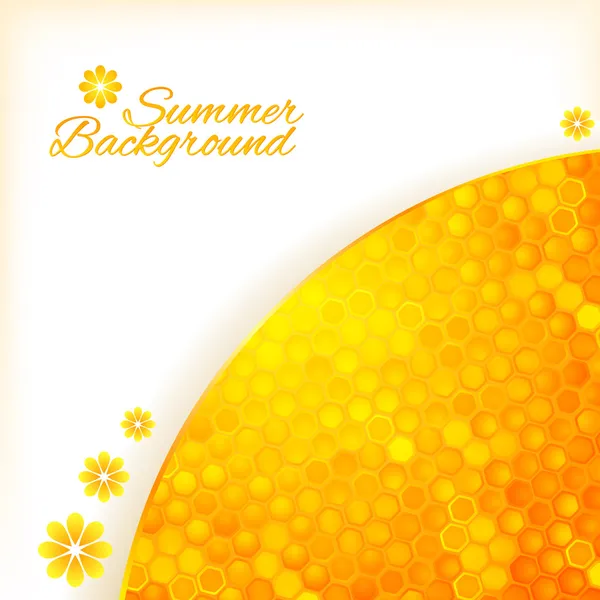 Abstrakte Sommer Hintergrund mit Honig — Stockvektor