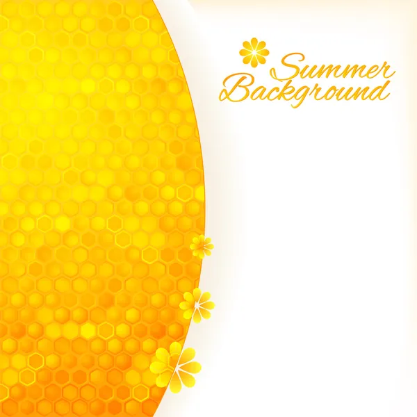 Abstract summer background with honey — Stock Vector