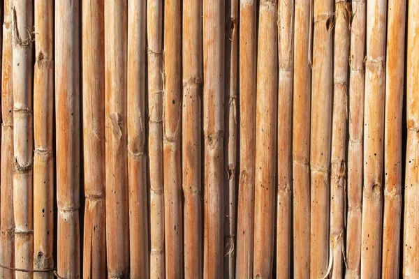 Brown Cane Fence Natural Background — Stock Photo, Image