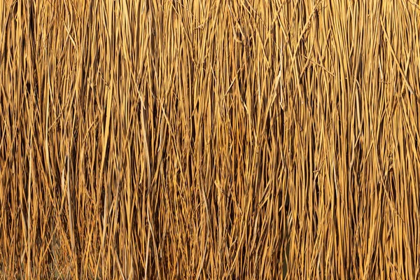 Straw Texture Background Close — Stock Photo, Image