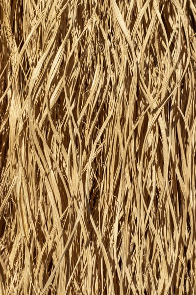Straw Texture Background Close — Stock Photo, Image