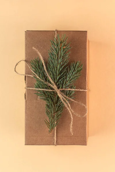 Vánoční Dárek Eko Balení Lepenková Krabice Větví Vánočního Stromku — Stock fotografie