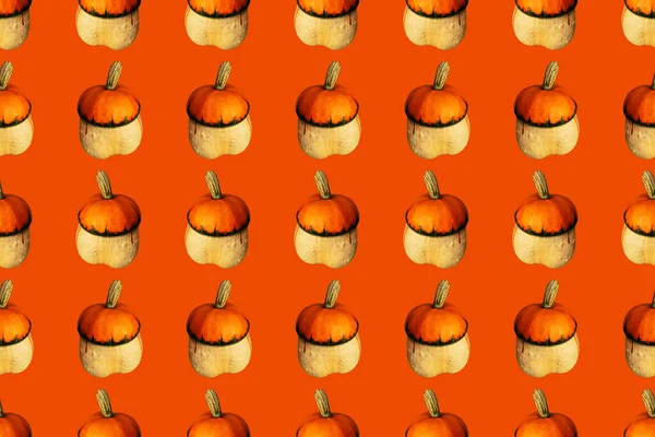 Turuncu arka planda turuncu balkabağı. Kusursuz tekrarlama deseni.