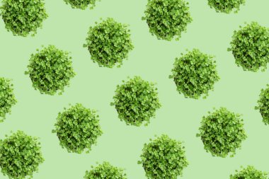 Mikro-yeşillik roka. Üst Manzara. Kusursuz tekrarlama deseni.