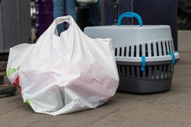 Lviv, Ukrayna - 26 Mart 2022. Seyahat için hayvan taşıyıcısı. Tren istasyonundaki yerlerinden edilmiş insanlar..