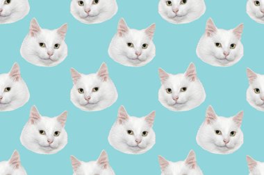 Mavi arka planda komik kedi kafası. Kusursuz tekrarlama kalıbı. Dijital kolaj.