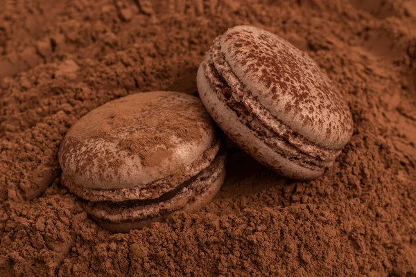 Macarrones Chocolate Francés Polvo Cacao Cerca —  Fotos de Stock
