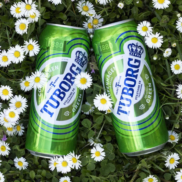 Lviv, Ukrayna - 4 Mayıs. Çayırdaki kır çiçeklerinde yeşil Tuborg birası.