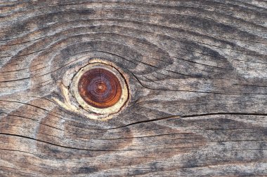 Texture of old dark board close up. Wooden background.
