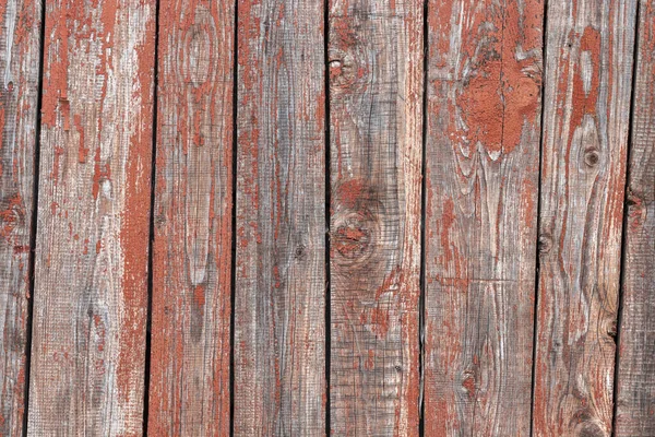 Eski kabataslak. Kırmızı tahta arka plan.