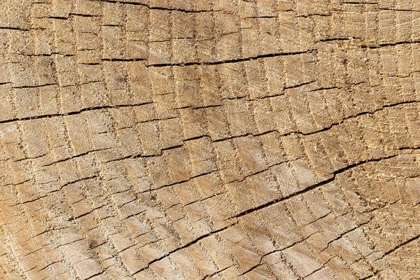Eski Kahverengi Ahşap Çatlaklar Ahşap Arkaplan — Stok fotoğraf