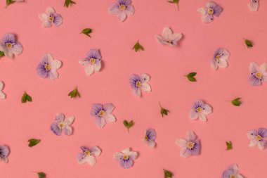 Yaban çiçeği deseni. Pembe arka planda bahar ve yaz çiçekleri yatıyordu..