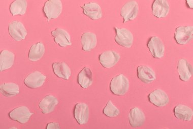 Elma çiçeği deseni. Pembe arka planda bembeyaz elma yaprakları vardı..