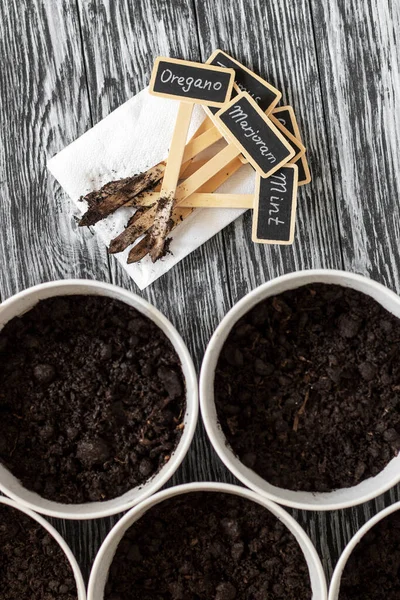 Metal çömleklere saksı toprağı ve aromatik bitkilerin isimlerinin yazılı olduğu tahta tabelalar. Ev kavramında yeşillik yetiştirme.