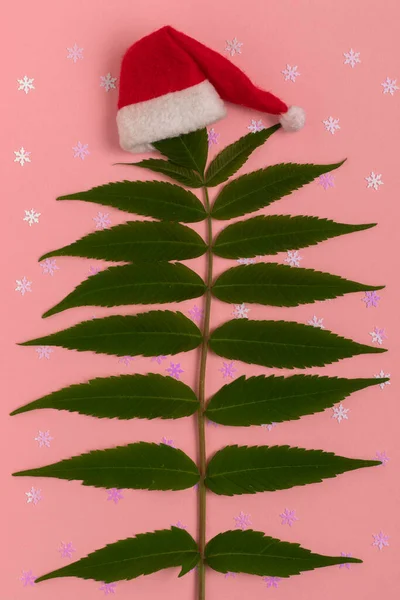 Větvička Zeleným Listím Santovým Kloboukem Vánoční Pozadí — Stock fotografie