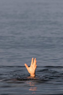 Erkek eli su yüzeyinin üstünde. Denizde yüzmek.