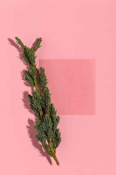 Sheet of paper on a pink background with green twig. Xmas flat lay with copy space.