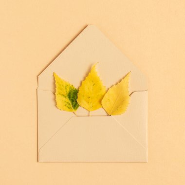 Sonbahar sarı yapraklı posta zarfı.