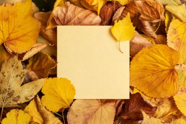 Sonbahar kuru sarı yapraklar arka plan. Kopyalama alanı ile.