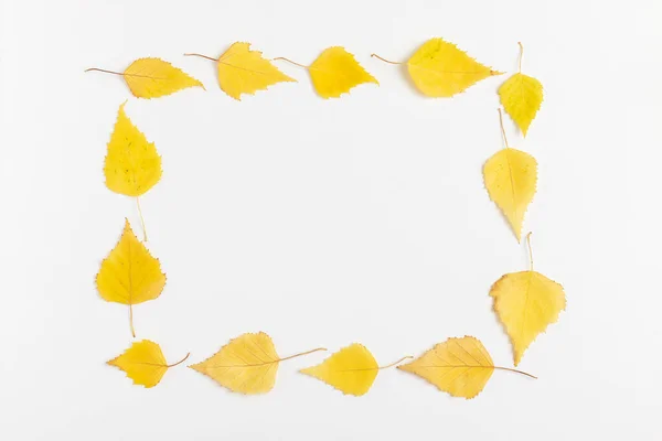 Frame Yellow Dry Autumn Leaves Flat Lay — Foto de Stock