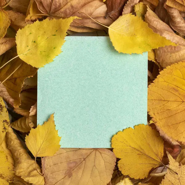 Jesień Suche Żółte Liście Tło Przestrzenią Kopiowania — Zdjęcie stockowe