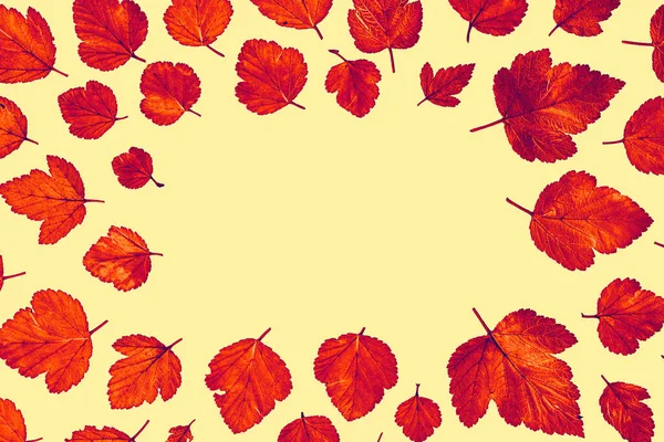 Autumn Orange Dry Leaves Background Flat Lay — Foto de Stock