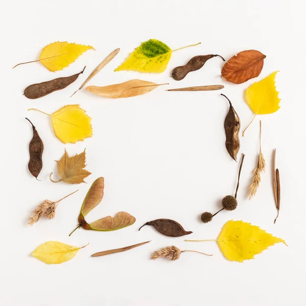 Φθινόπωρο Φόντο Από Κίτρινα Ξηρά Φύλλα Και Σπόρους Επίπεδη — Φωτογραφία Αρχείου