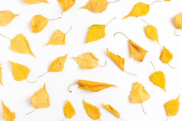 Autumn Yellow Dry Leaves Background Flat Lay — Foto de Stock