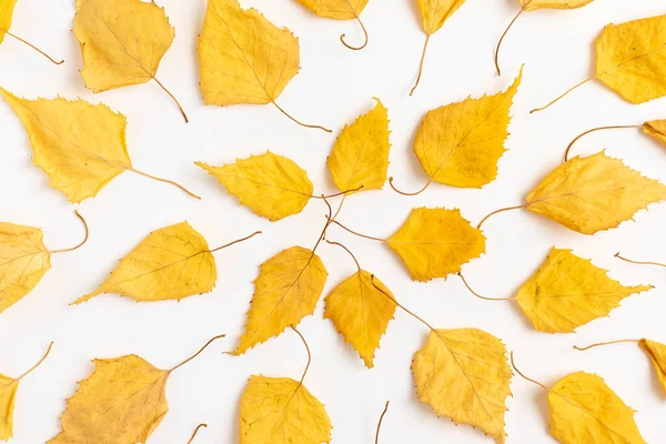 Autumn Background Yellow Dry Leaves Flat Lay — Zdjęcie stockowe