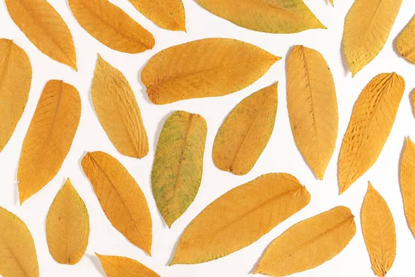 Autumn Yellow Dry Leaves Background Flat Lay — Foto de Stock