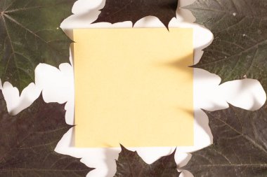 Sonbahar kuru yaprakları arka plan. Düz yatıyordu. Kopyalama alanı ile.