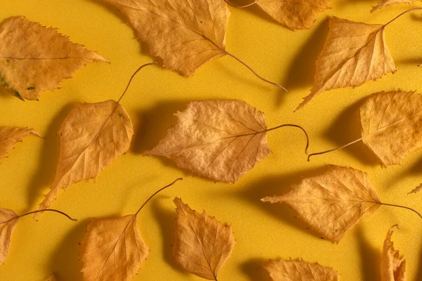 Autumn Dry Leaves Orange Background Flat Lay — Zdjęcie stockowe