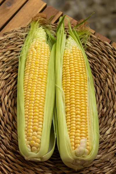 Uncooked Corn Cobs Close — Stock fotografie