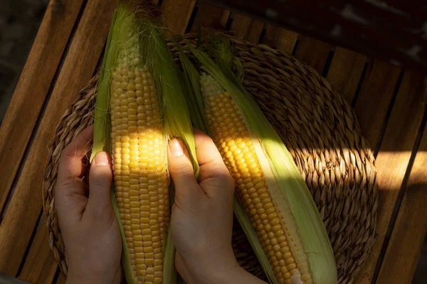 Uncooked Corn Cobs Close Top View — Stock fotografie