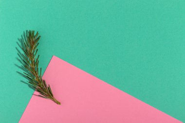 Pembe ve akuamarin arka planda küçük bir Noel ağacı dalı. Xmas arkaplanı.