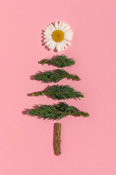 Handmade Xmas Tree Made Fir Twigs Chamomile Christmas Background — Stock Photo, Image