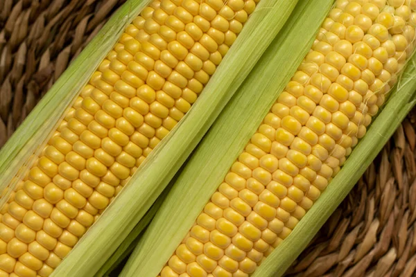 Uncooked Corn Cobs Close Top View — Φωτογραφία Αρχείου