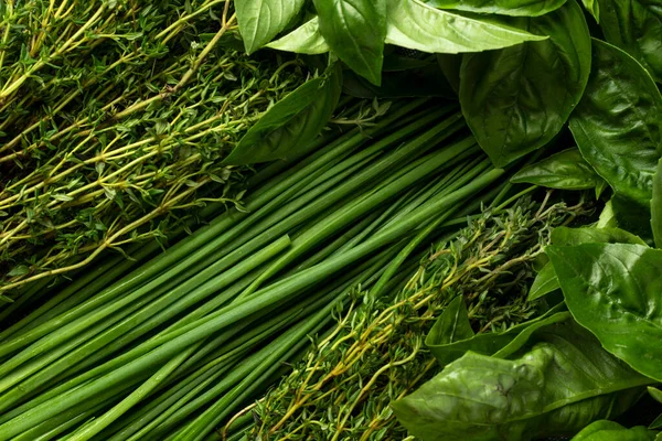 Mix Fresh Green Aromatic Herbs Basil Chives Thyme Top View — Stok Foto