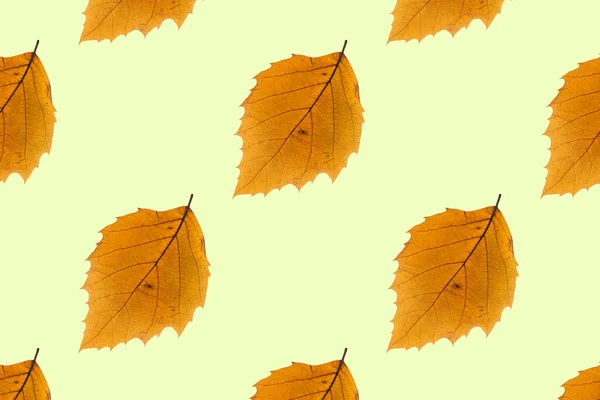 Yellow Dry Autumn Leaves Yellow Background Seamless Repeating Pattern — Foto Stock