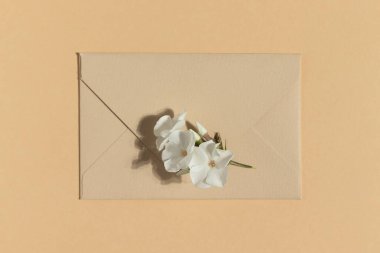 Envelope on a beige background. Minimalistic flat lay.