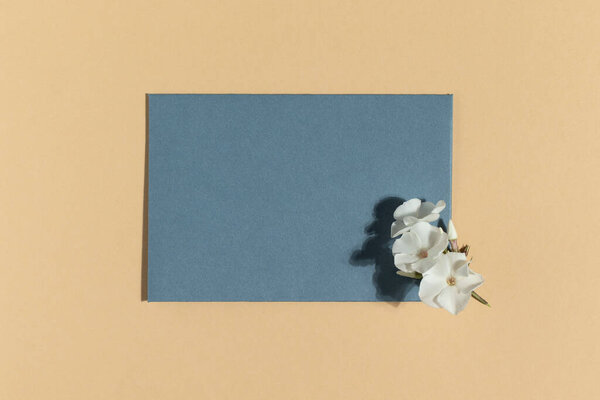 Голубая открытка на бежевом фоне. Минималистическая квартира.