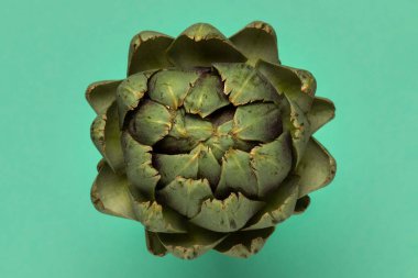 Big fresh artichoke on green background. Top view.