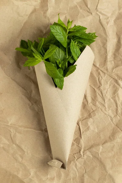 Fresh Green Mint Paper Cone Top View — Stok Foto