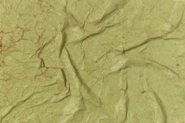 Crumpled wet green paper. Texture background.