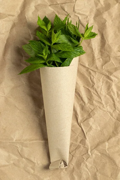 Fresh Green Mint Paper Cone Top View — Stock Photo, Image