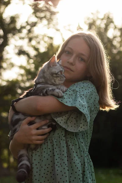 Girl Walks Park Cat Cat Being Embraced Its Owner — Stock fotografie