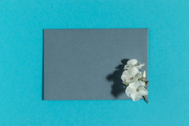 Blue greeting card with flower on blue background. Minimalistic flat lay.