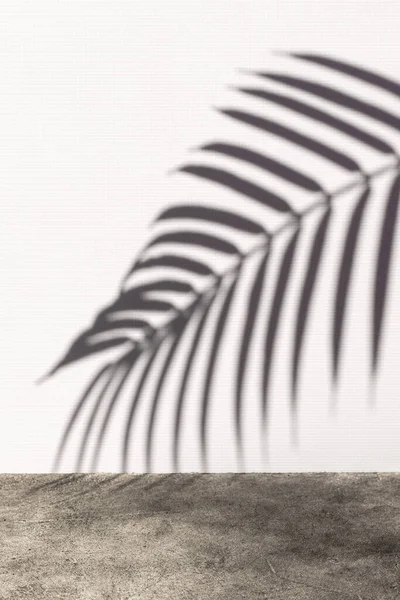 Palm leaf shadow on a wall. Textured background.