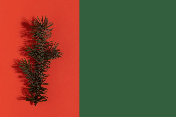 Malé Vánoční Stromeček Větvička Červeném Zeleném Pozadí Vánoční Pozadí Kopírovacím — Stock fotografie