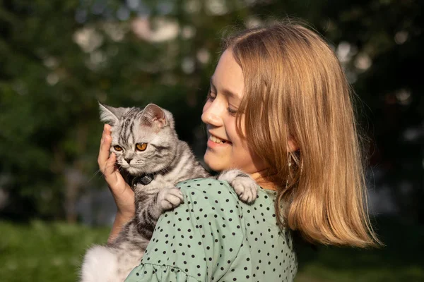Cat Being Embraced Its Owner — Fotografia de Stock